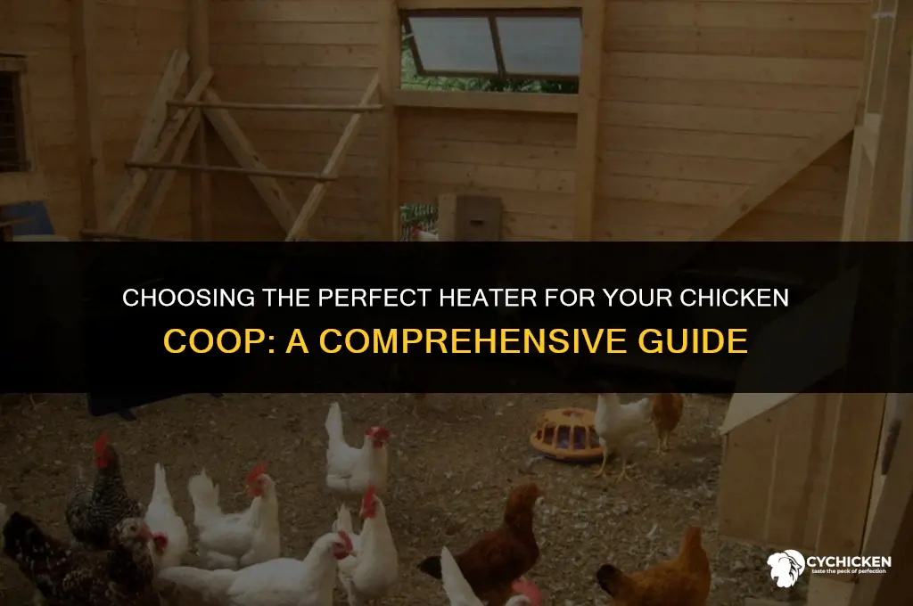 what type of heater for a chicken coop