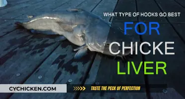 Best Hooks for Chicken Liver: A Guide