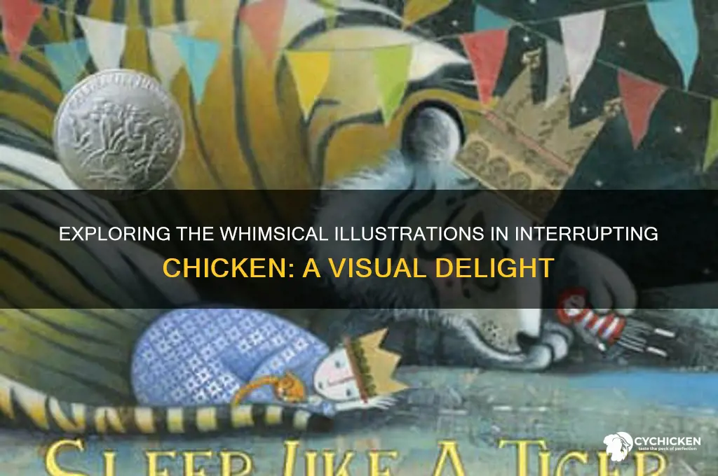 what type of illustrations are in interruting chicken