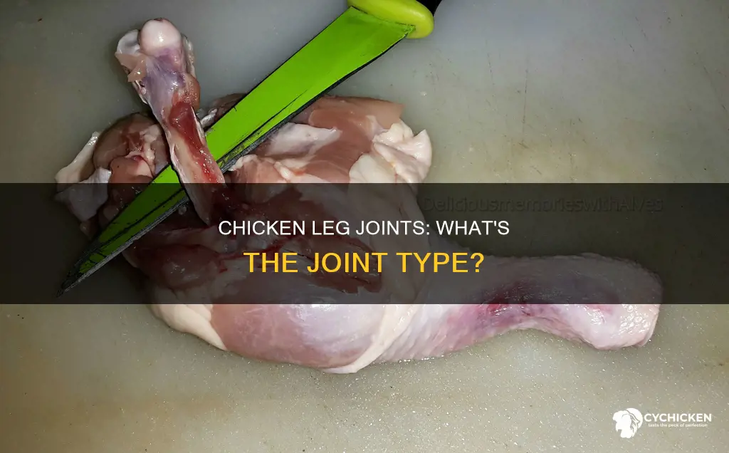 what type of joint does a chicken leg have