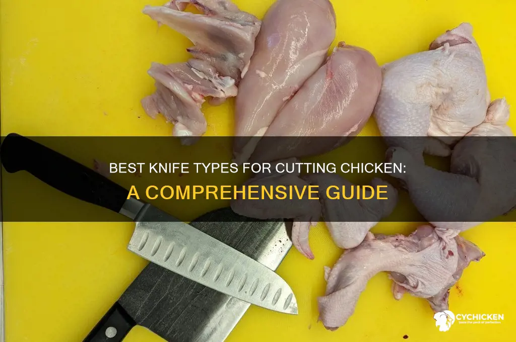 what type of knife to cut chicken