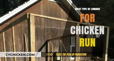 Choosing the Best Lumber for Your Chicken Run: A Guide
