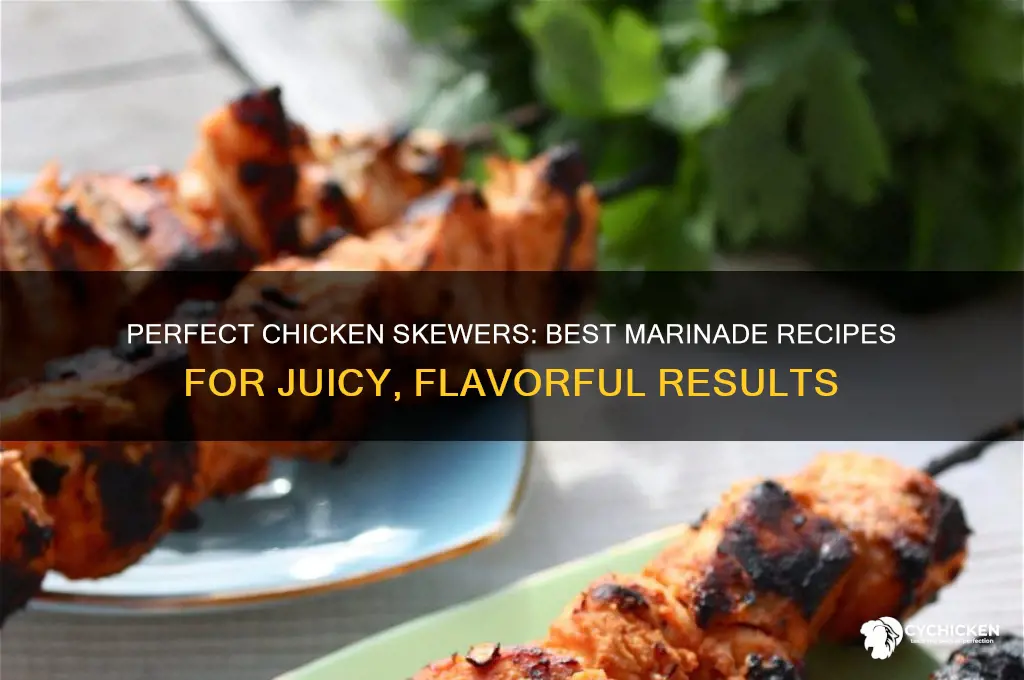 what type of marinade for chicken skewers