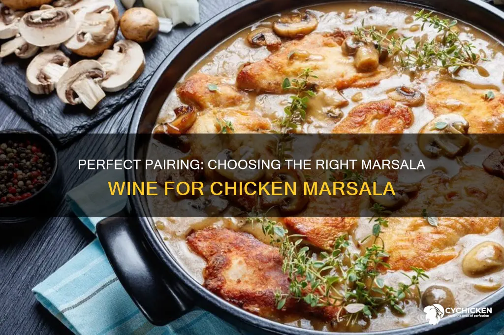 what type of marsala wine for chicken marsala
