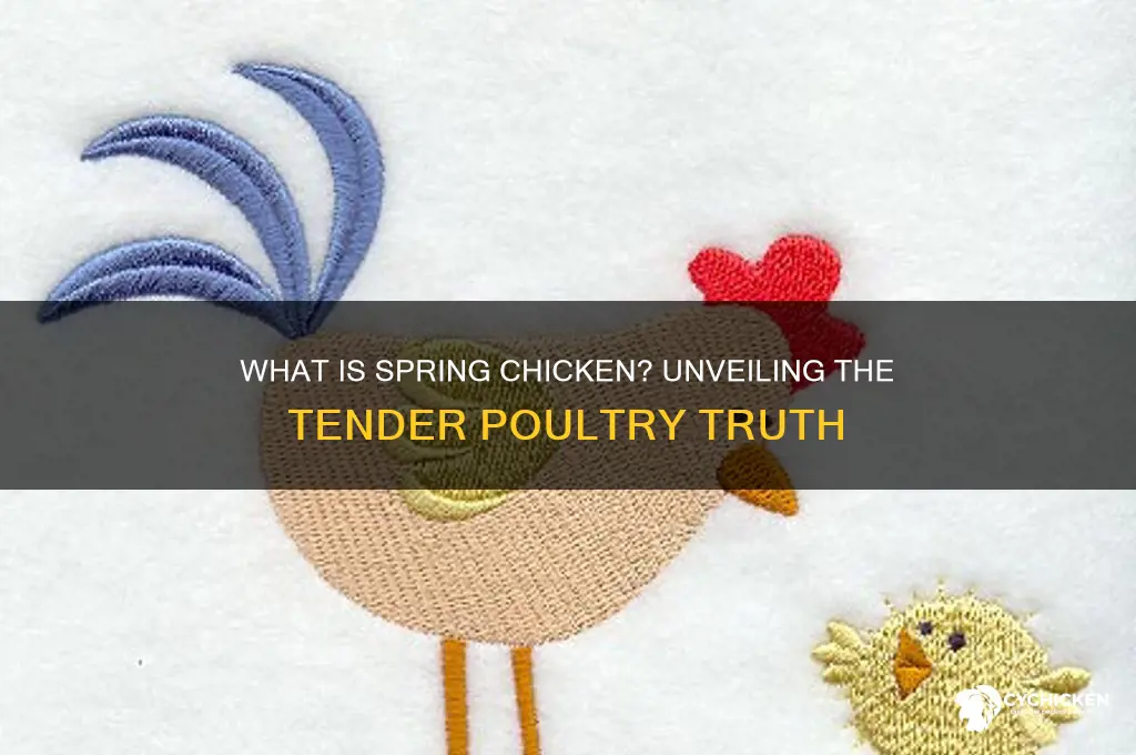 what type of meat is spring chicken
