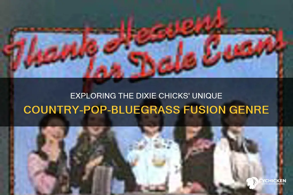 what type of music are the dixie chicks