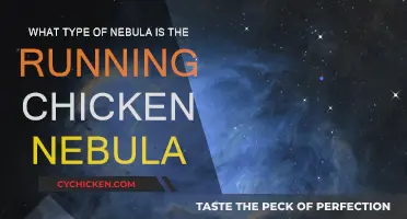 The Running Chicken Nebula: A Dark Absorption Nebula