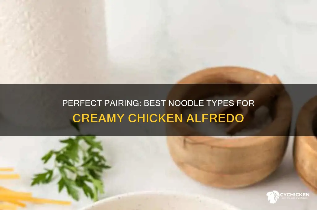 what type of noodle with chicken alfredo