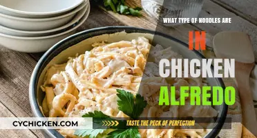 Exploring the Perfect Noodle Match for Classic Chicken Alfredo
