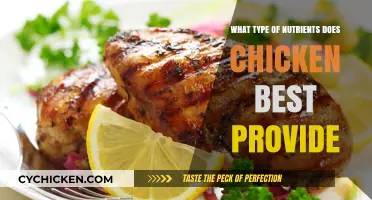 Chicken's Nutritional Powerhouse: Essential Nutrients for Optimal Health