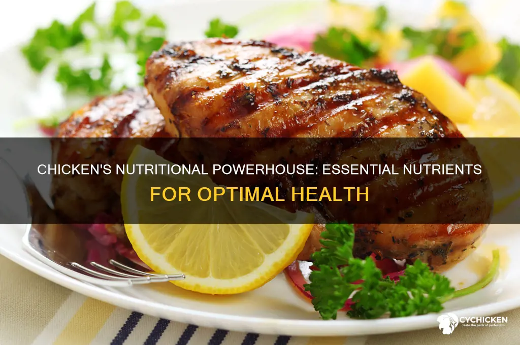 what type of nutrients does chicken best provide