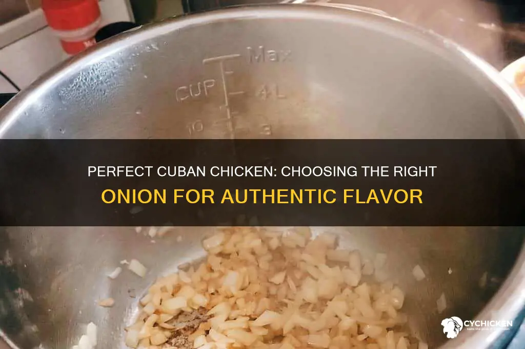 what type of onion for cuban chicken