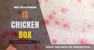 Understanding Chickenpox: The Viral Pathogen Behind the Itchy Rash