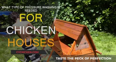 Effective Pressure Washing for Chicken Houses