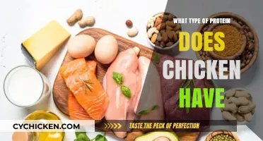 Understanding the Protein Types in Chicken: A Nutritional Breakdown