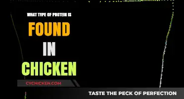 Discover the High-Quality Protein Types Found in Chicken