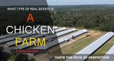 Chicken Farm Real Estate: A Unique Property Niche