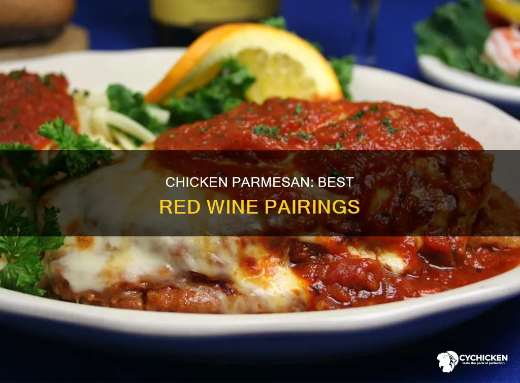 what type of red wine goes with chicken parmesan