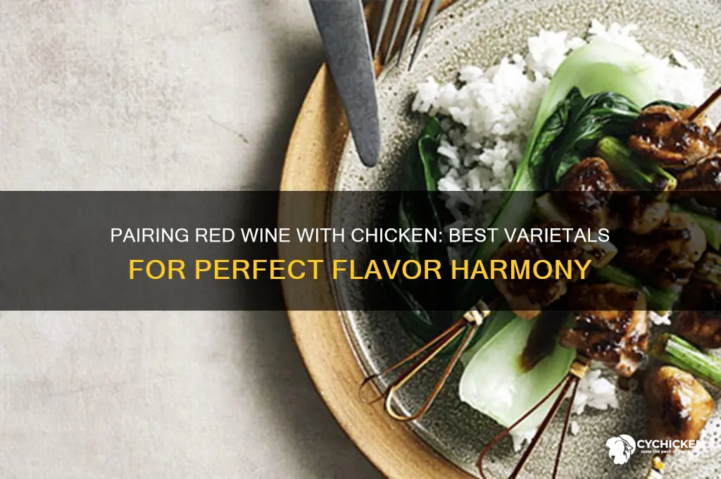 what type of red wine with chicken