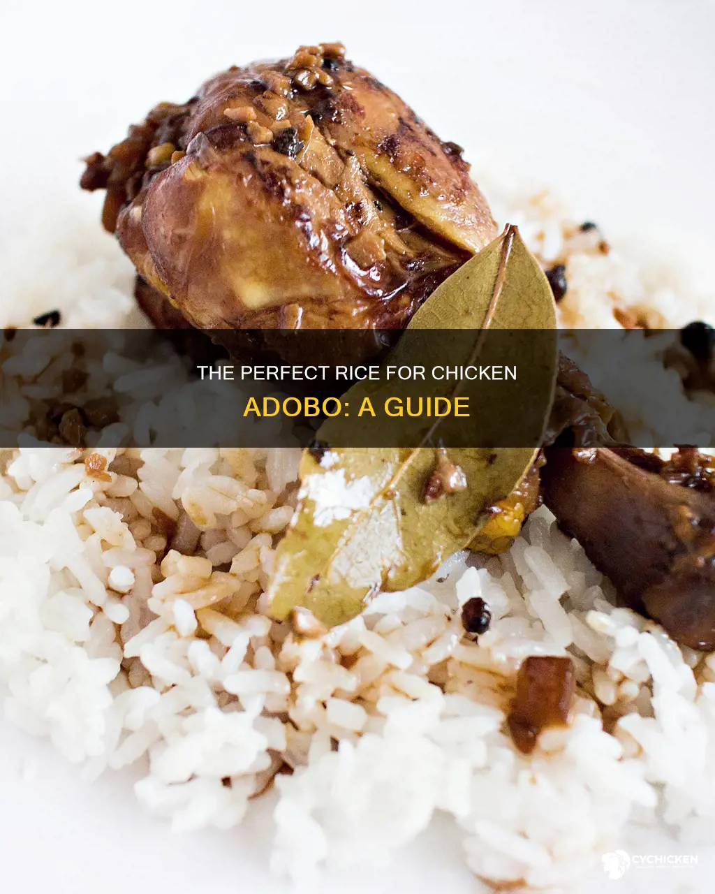 what type of rice is best with chicken adobo