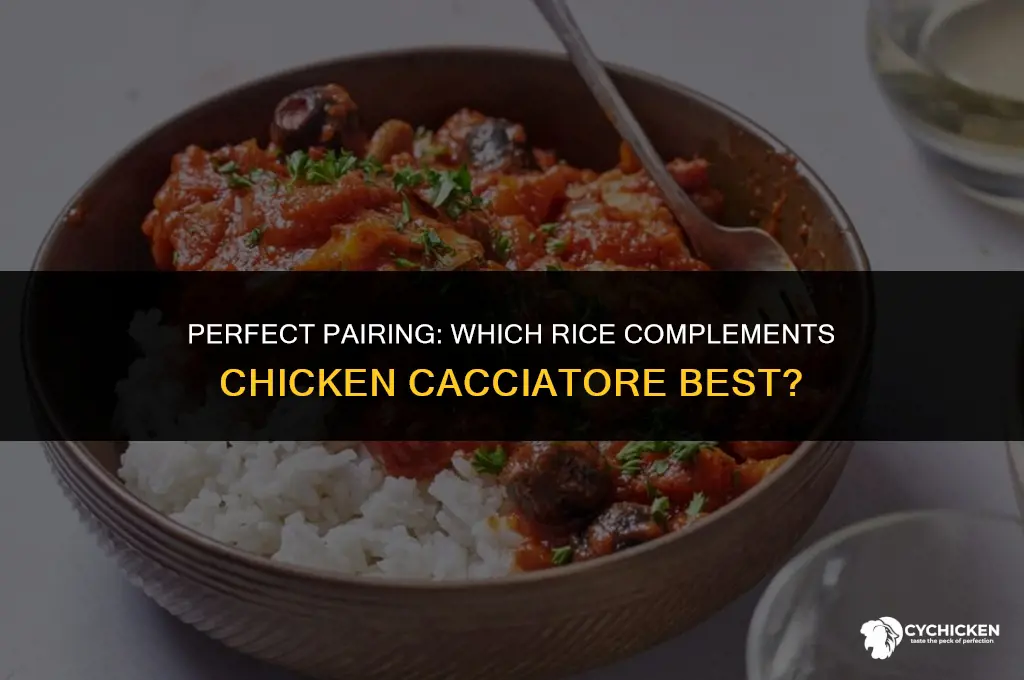 what type of rice should be served with chicken cacciatore
