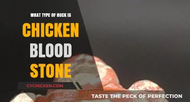 Unveiling the Mystery: What Type of Rock is Chicken Blood Stone?