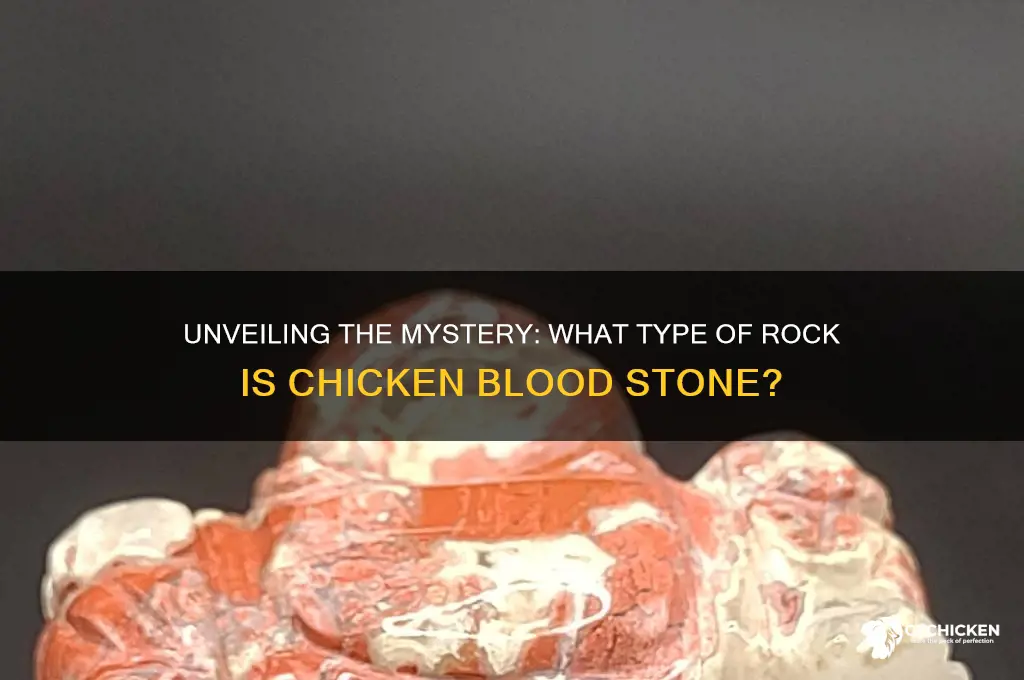 what type of rock is chicken blood stone
