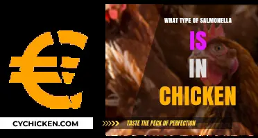 Understanding Salmonella Types Commonly Found in Chicken: A Comprehensive Guide