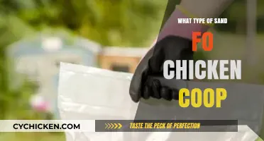 Choosing the Perfect Sand for Your Chicken Coop: A Guide