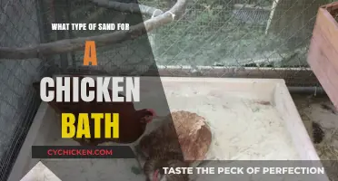 Choosing the Best Sand for Your Chicken's Dust Bath: A Guide