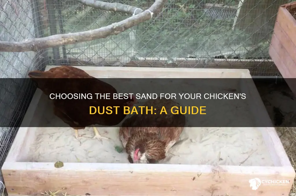 what type of sand for a chicken bath