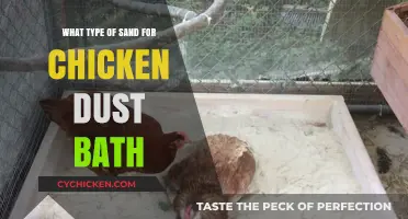 Best Sand Types for Chicken Dust Baths: A Complete Guide