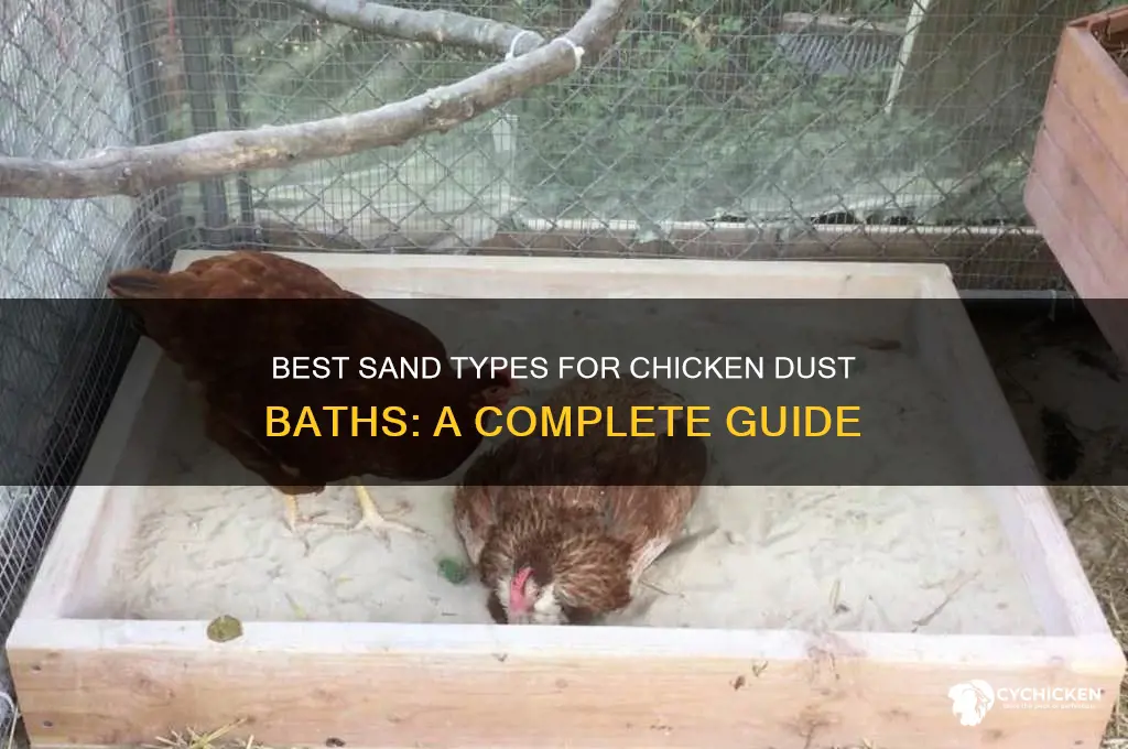 what type of sand for chicken dust bath