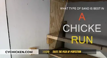 Sand for Chicken Runs: Choosing the Best Type