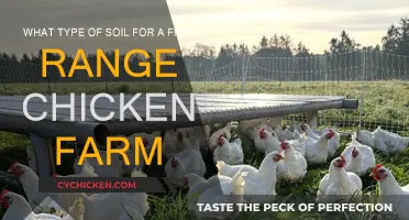 Free-Range Chicken Farming: Choosing the Right Soil