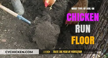Best Soil Types for Chicken Run Floors: A Practical Guide