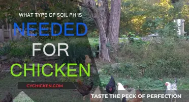Ideal Soil pH for Healthy Chickens