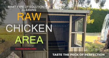 Effective Cleaners for Raw Chicken Messes