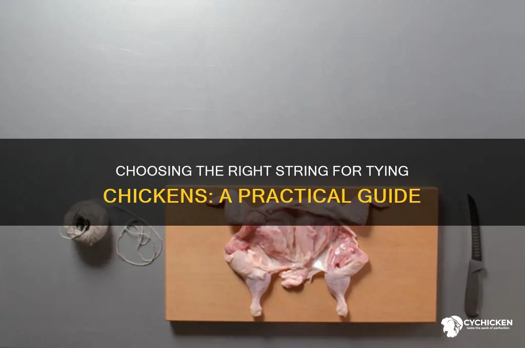 what type of string to tie chicken