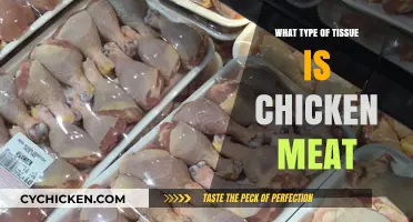 Understanding Chicken Meat: Exploring the Muscle Tissue Composition
