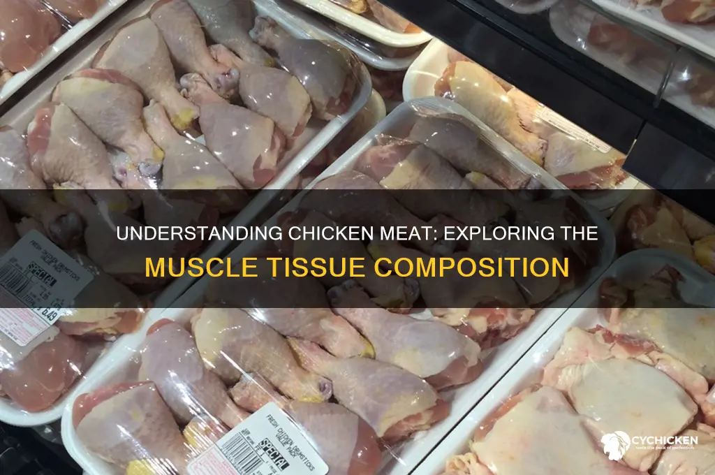 what type of tissue is chicken meat