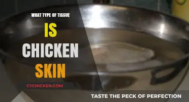 Understanding Chicken Skin: Exploring Its Unique Tissue Composition and Structure