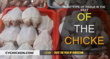 Understanding Chicken Meat: Exploring Tissue Types