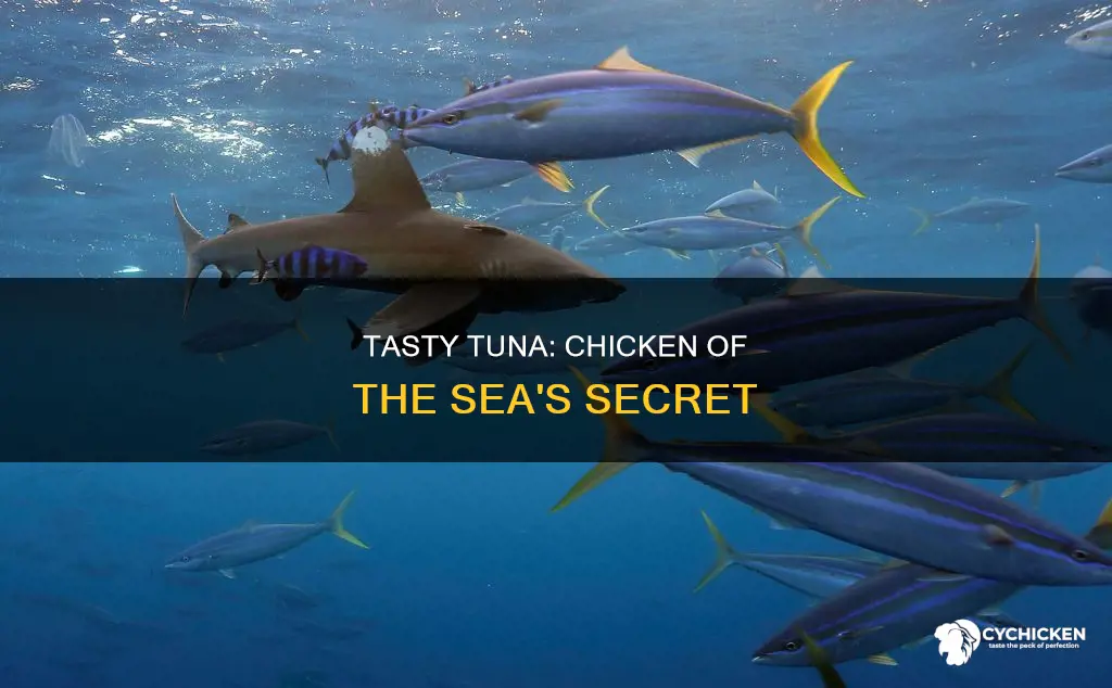 what type of tuna is chicken of the sea
