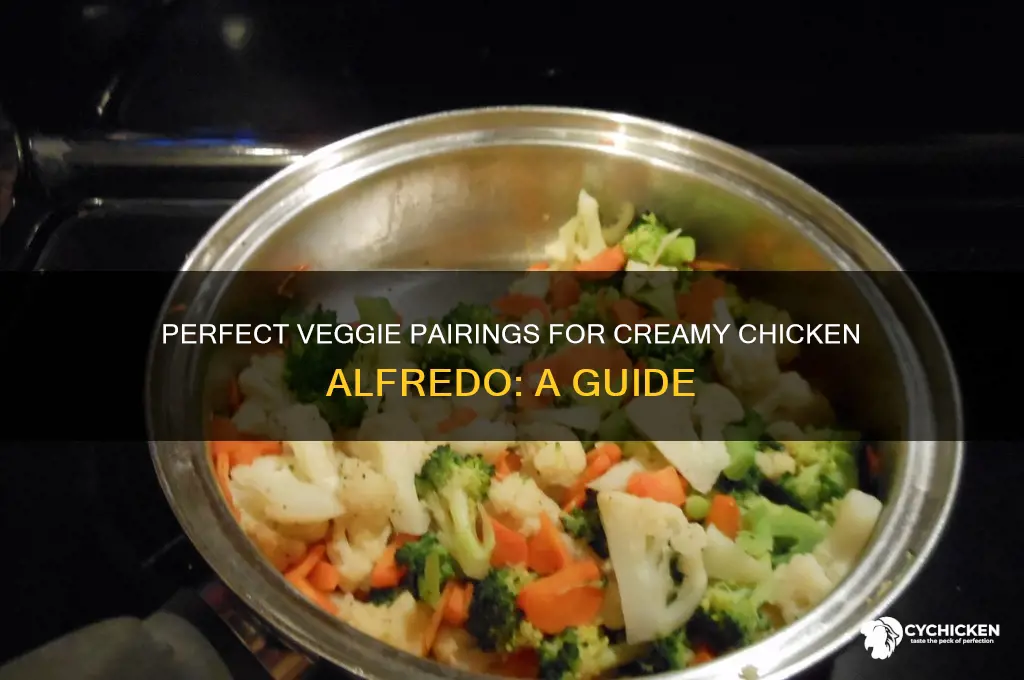 what type of vegetables go in chicken alfredo