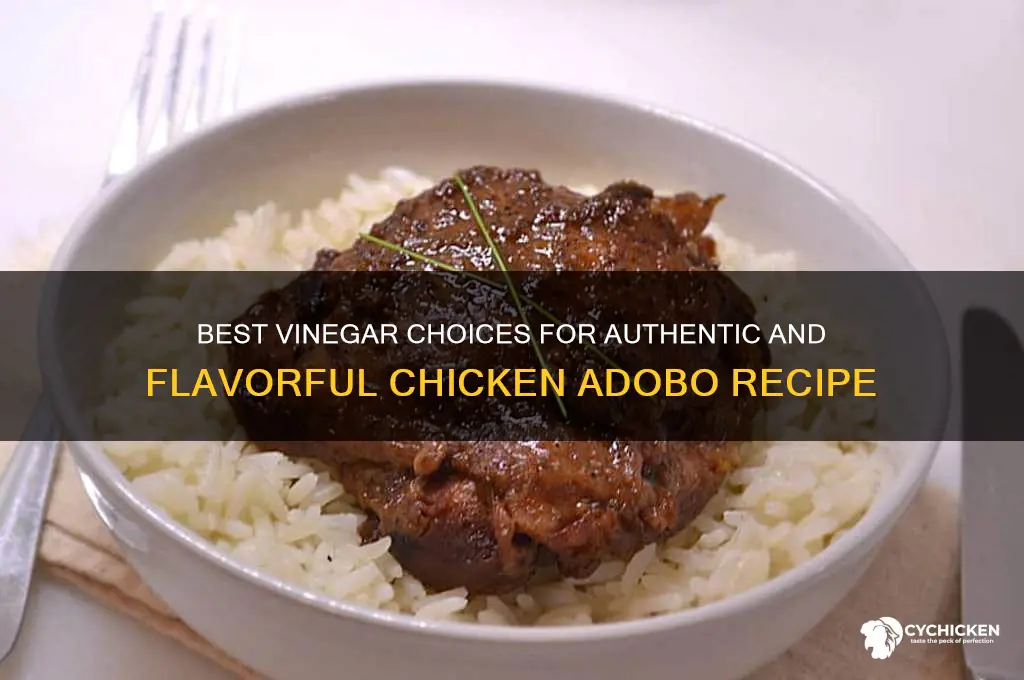 what type of vinegar for chicken adobo