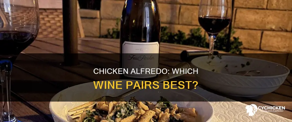 what type of wine goes best with chicken alfredo