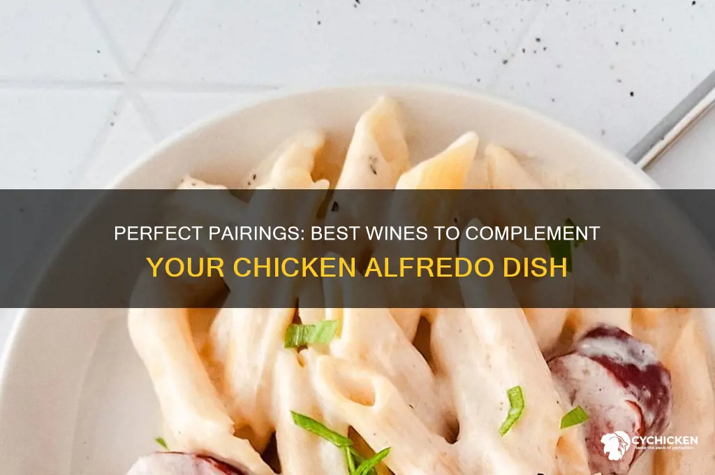 what type of wine goes with chicken alfredo