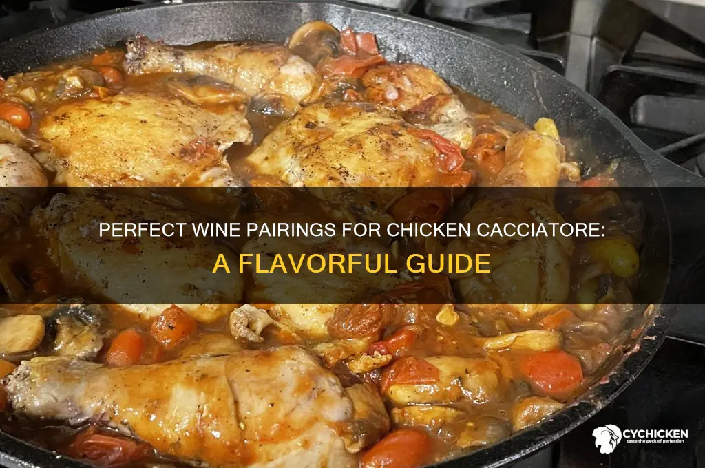 what type of wine pairs with chicken cacciatore