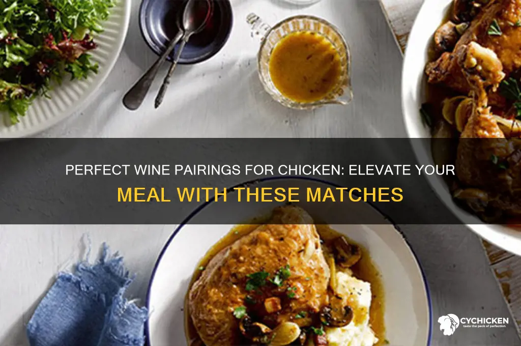 what type of wine pairs with chicken